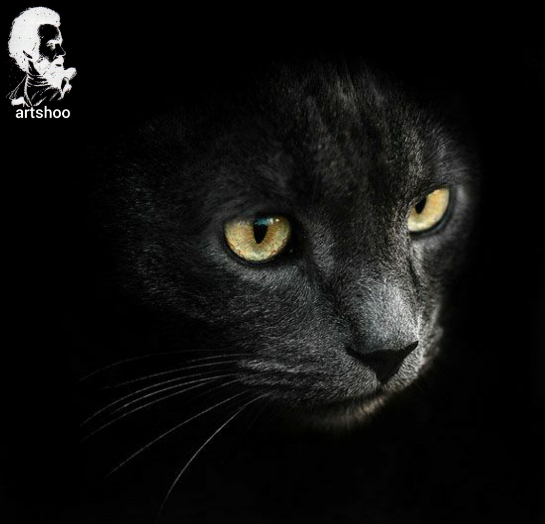 سیاه قلم مدل مداد سفید